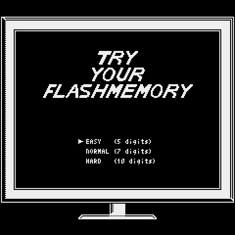 Try Your Flash Memory